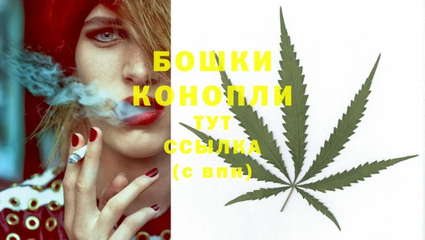 альфа пвп Нея