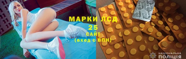 индика Нефтекумск