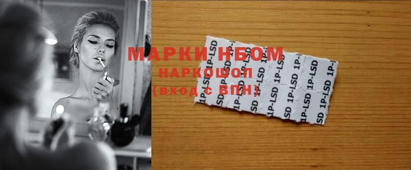 индика Нефтекумск