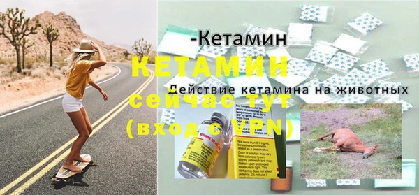 индика Нефтекумск