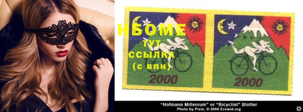 индика Нефтекумск