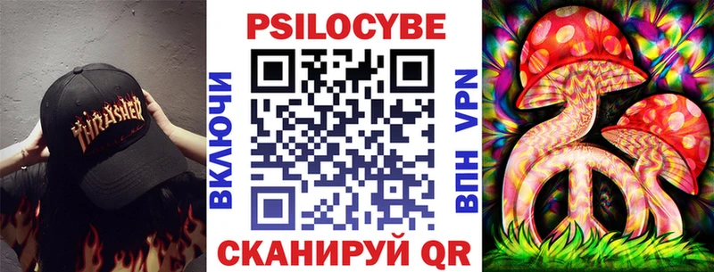 где купить наркоту  Нововоронеж  Псилоцибиновые грибы прущие грибы 