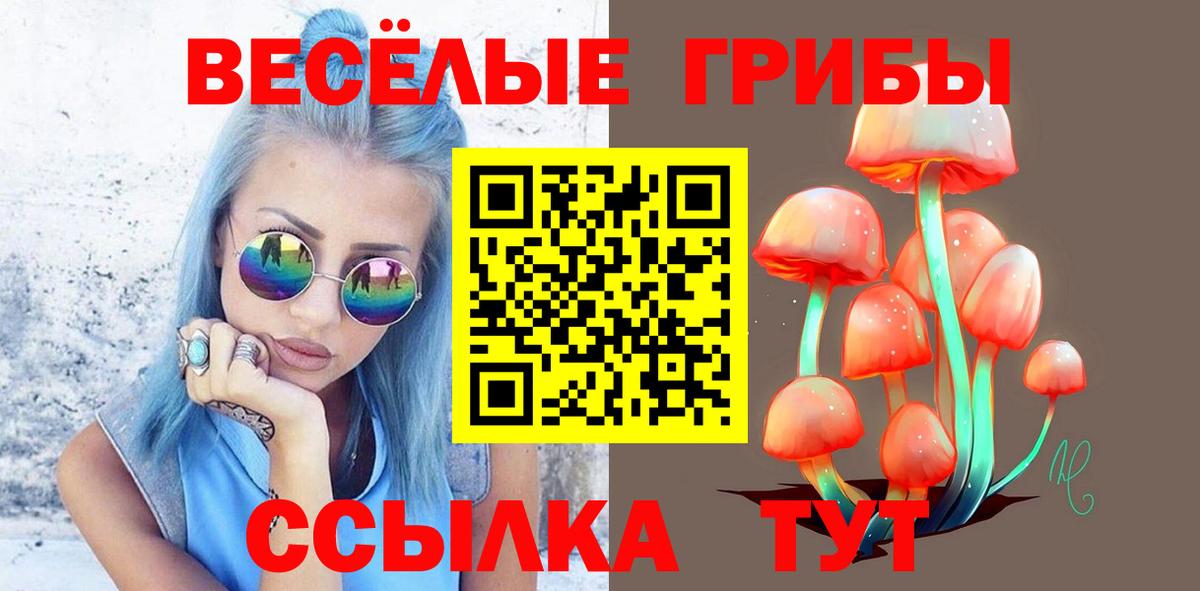 Псилоцибиновые грибы GOLDEN TEACHER Нововоронеж