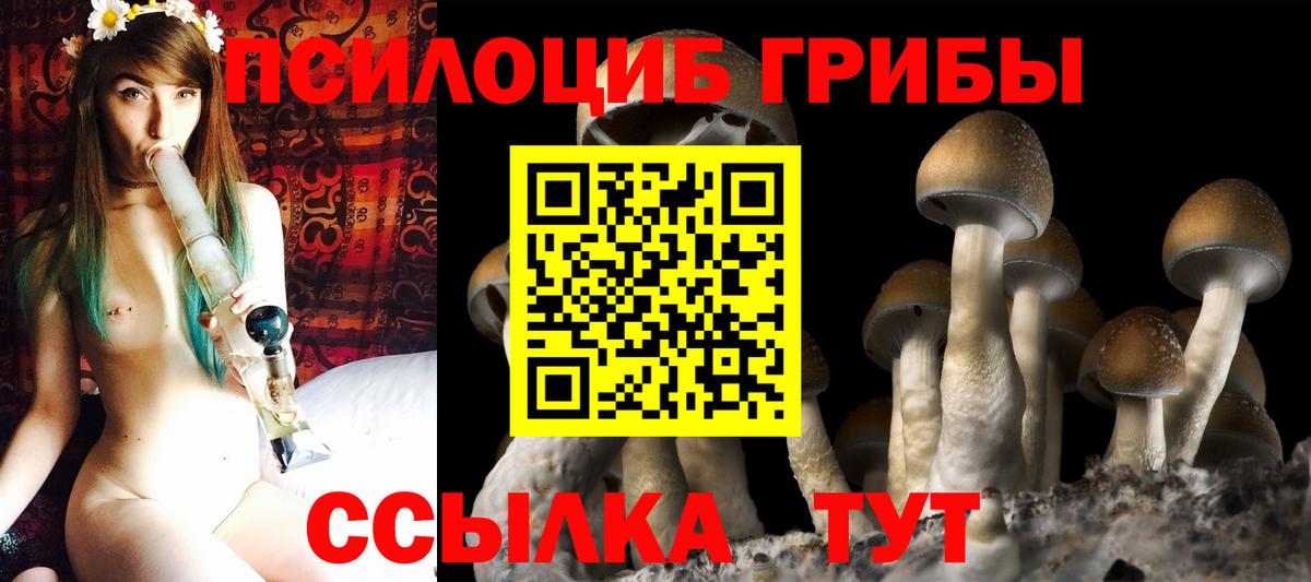 Псилоцибиновые грибы мицелий  Вход с VPN  Нововоронеж 