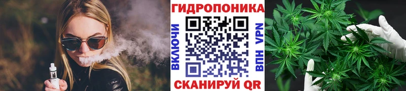 Шишки марихуана сатива  Нововоронеж 